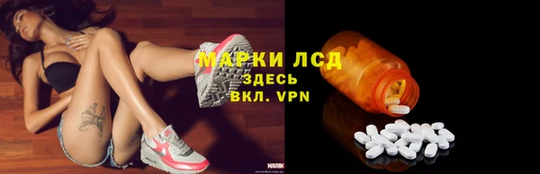 ПСИЛОЦИБИНОВЫЕ ГРИБЫ Арсеньев