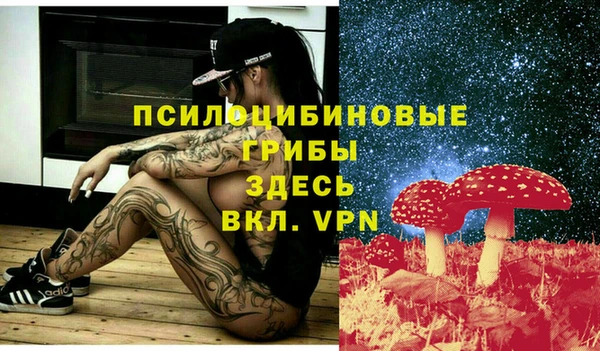 ПСИЛОЦИБИНОВЫЕ ГРИБЫ Арсеньев